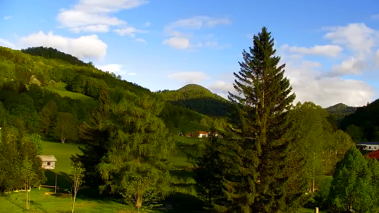 Webcam Lokve – The beauty of the Trnovo forest