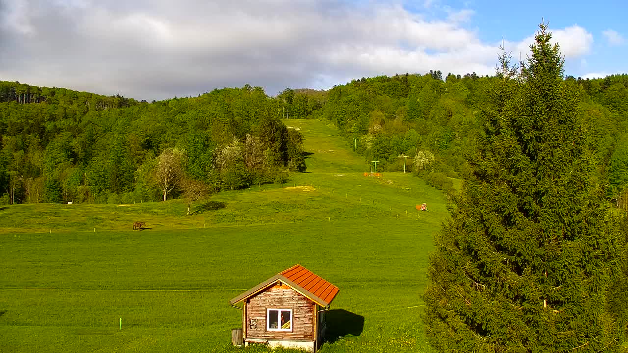 Webcam Loqua / Lokve – La bellezza della selva di Tarnova