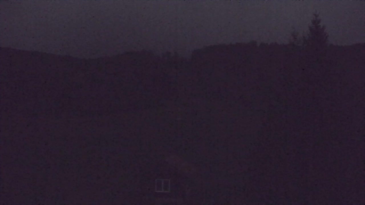 Webcam Lokve – Die Schönheit des Trnovo-Waldes