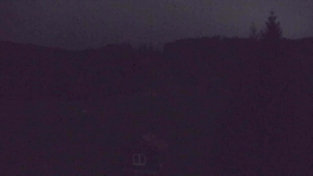 Webcam Lokve – The beauty of the Trnovo forest