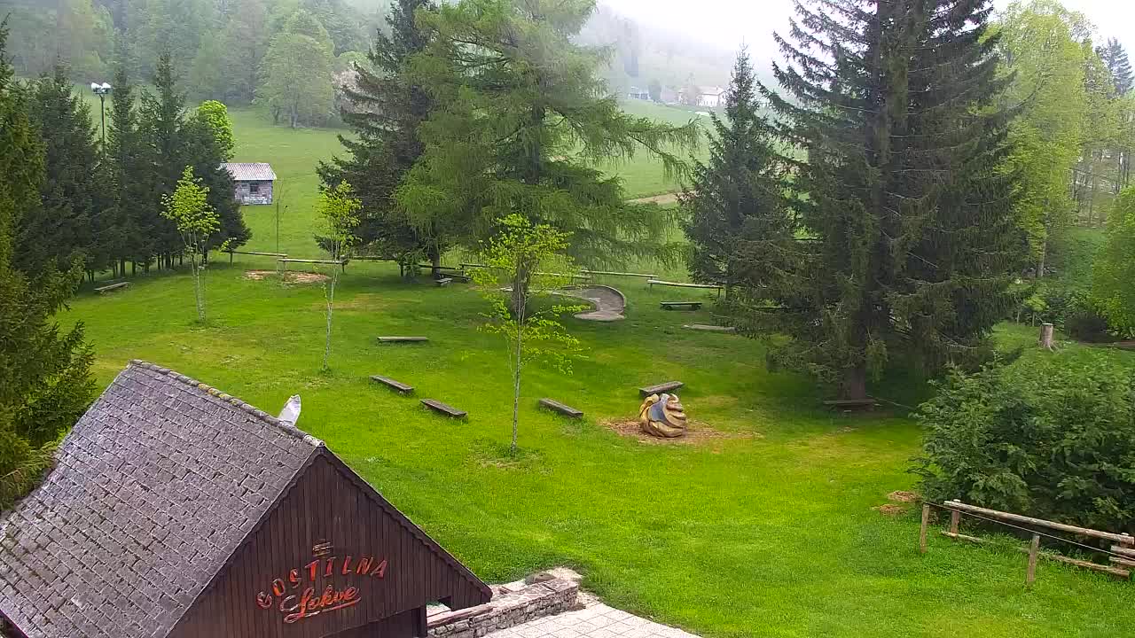 Webcam Lokve – The beauty of the Trnovo forest