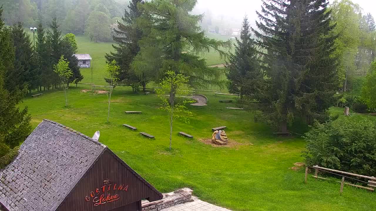 Webcam Lokve – Die Schönheit des Trnovo-Waldes
