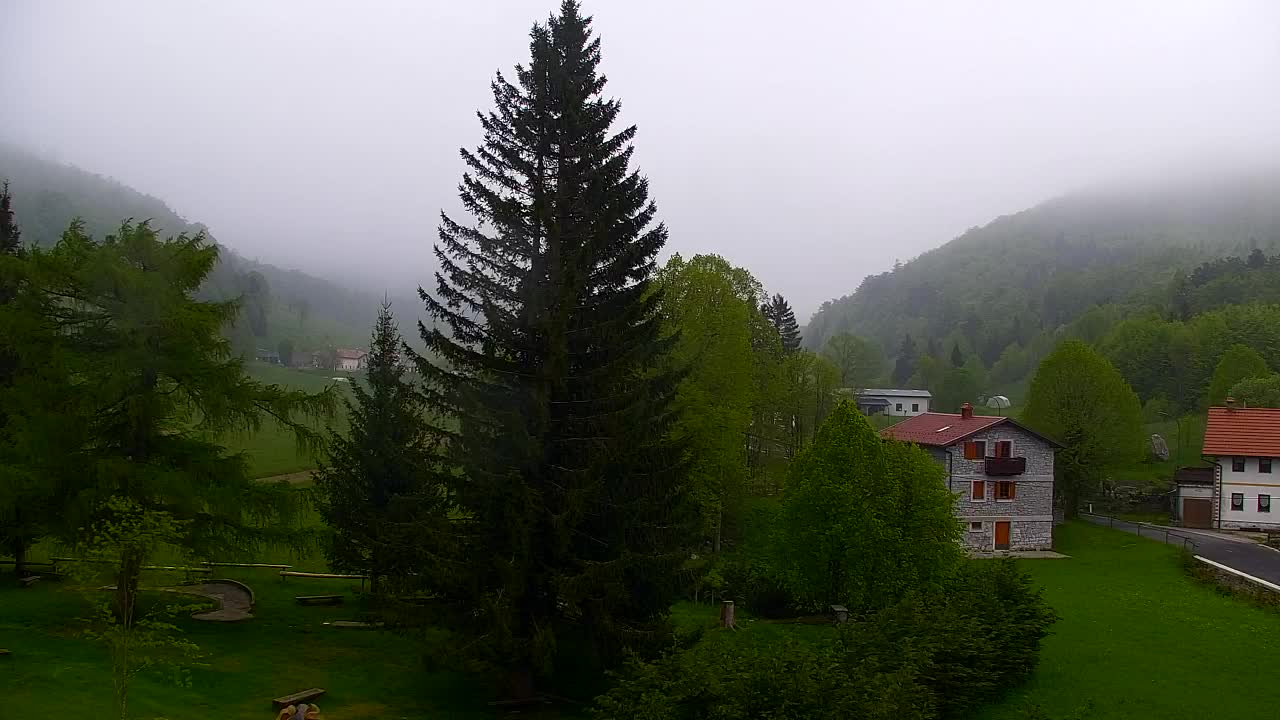 Camera en vivo Lokve – La belleza del bosque de Trnovo