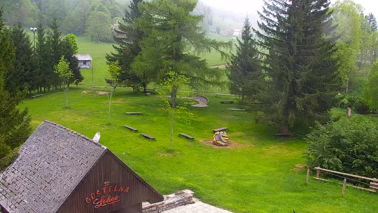 Camera en vivo Lokve – La belleza del bosque de Trnovo