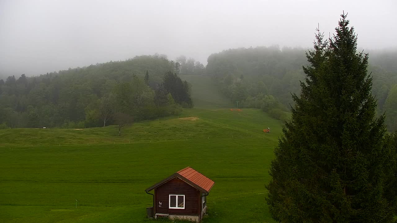 Webcam Lokve – The beauty of the Trnovo forest