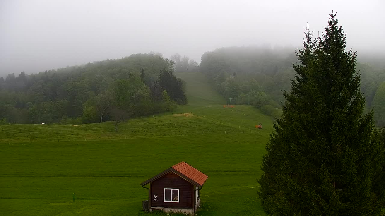 Webcam Loqua / Lokve – La bellezza della selva di Tarnova