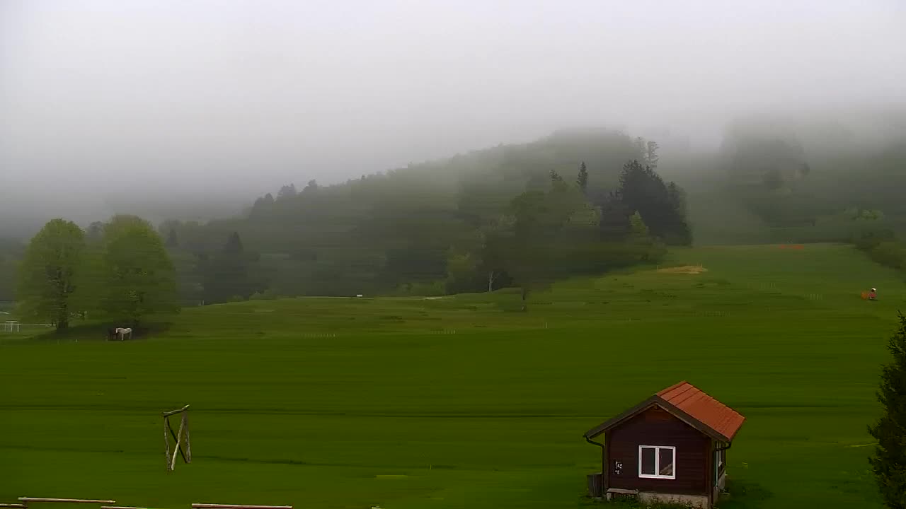 Webcam Lokve – The beauty of the Trnovo forest