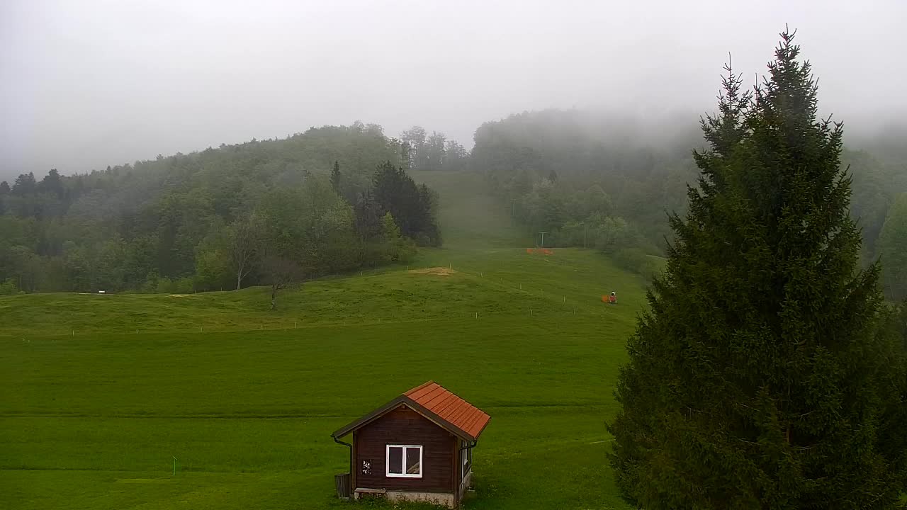 Webcam Loqua / Lokve – La bellezza della selva di Tarnova