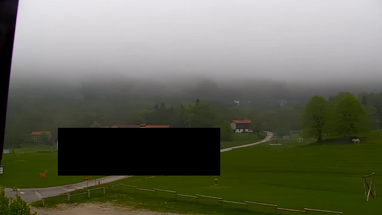 Webcam Lokve – The beauty of the Trnovo forest