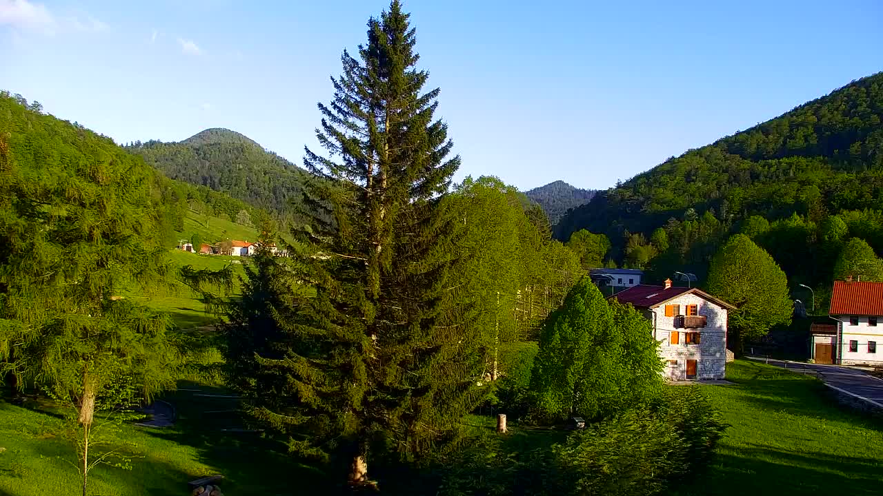 Webcam Lokve – The beauty of the Trnovo forest