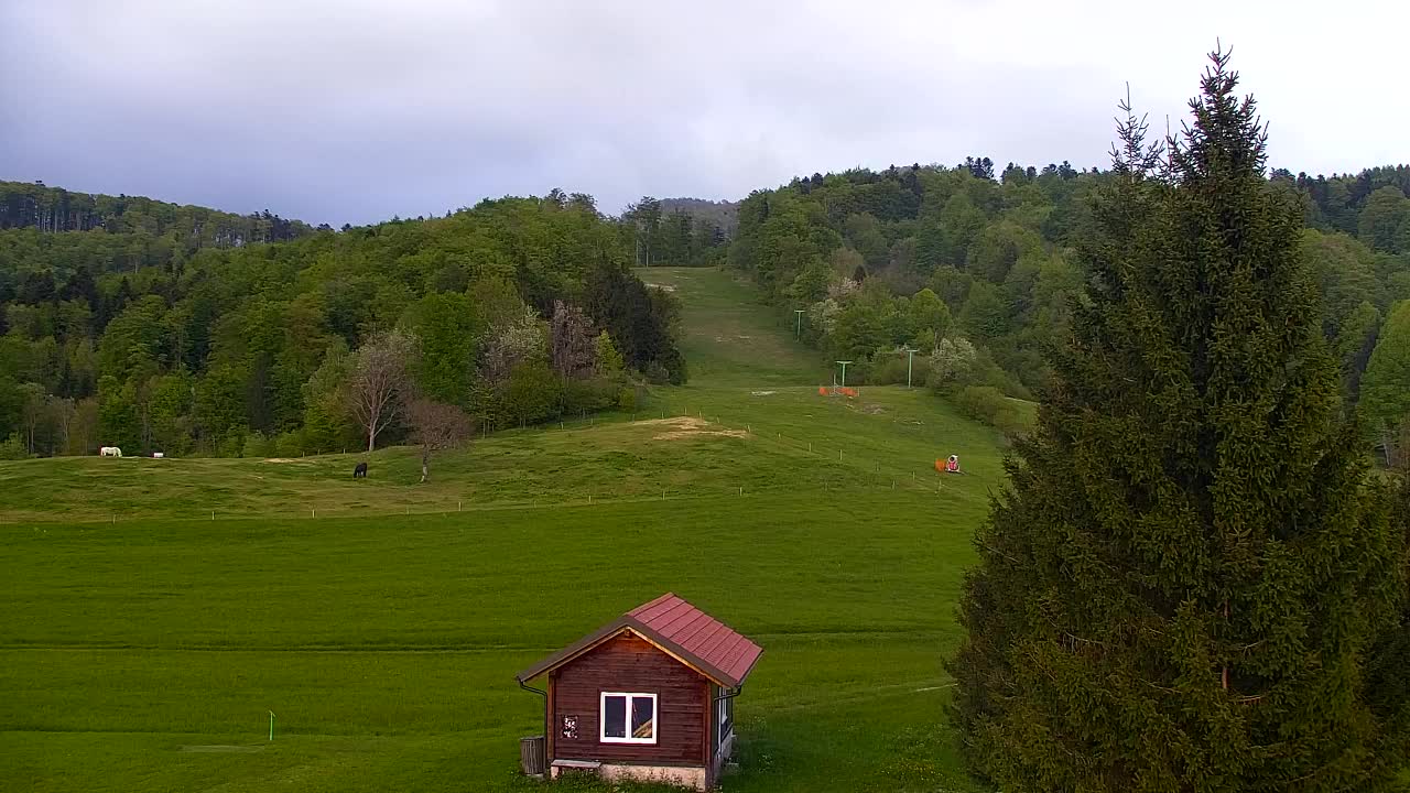 Webcam Loqua / Lokve – La bellezza della selva di Tarnova