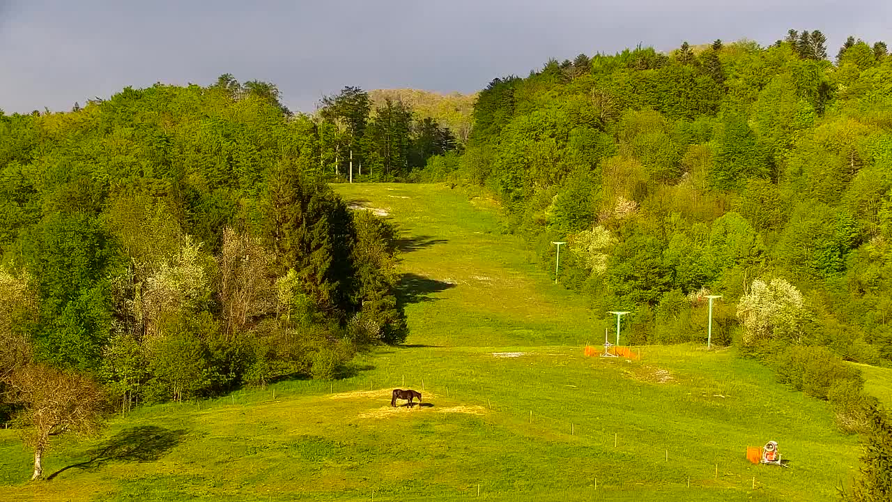 Webcam Lokve – The beauty of the Trnovo forest