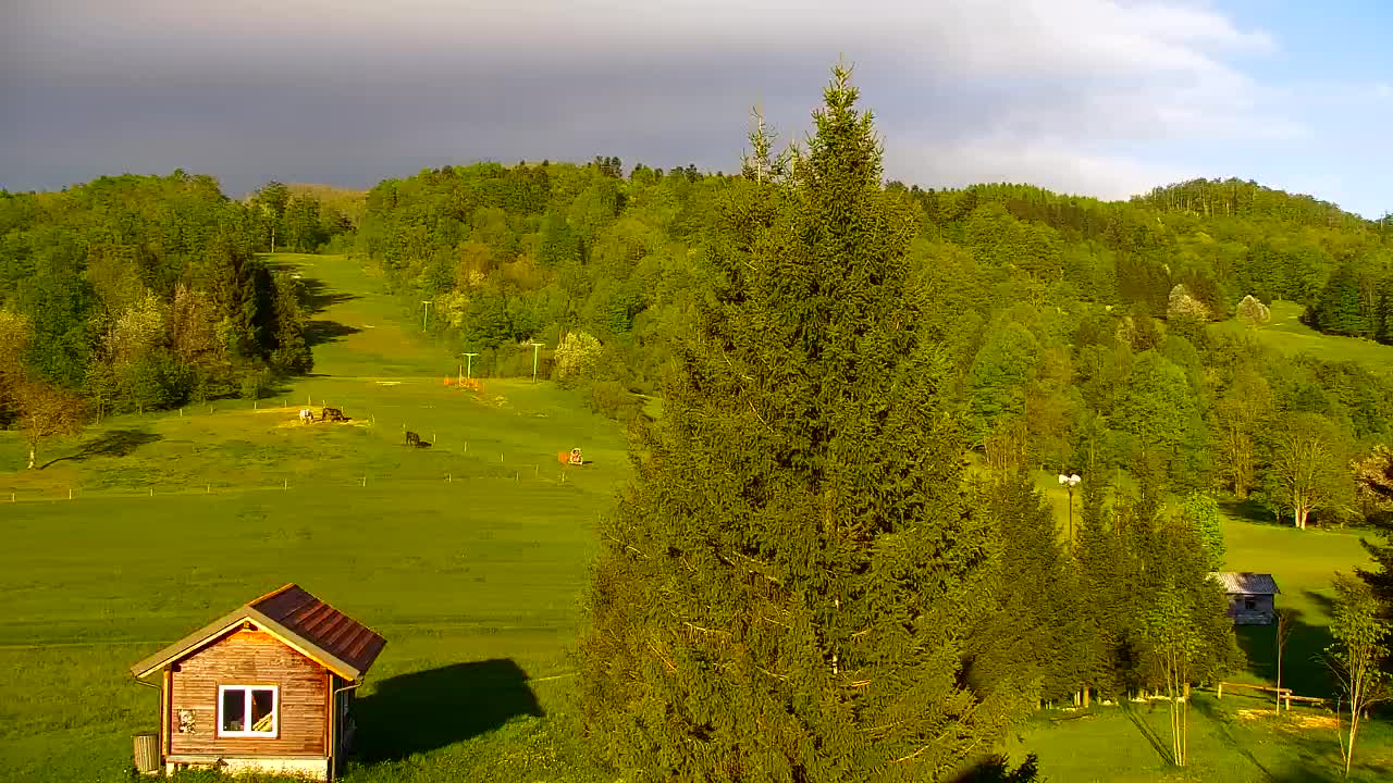 Webcam Lokve – La beauté de la forêt de Trnovo