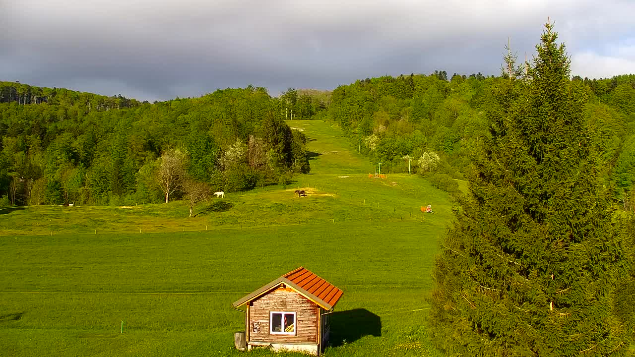 Lokve kamera – Naravne lepote Trnovskega gozda