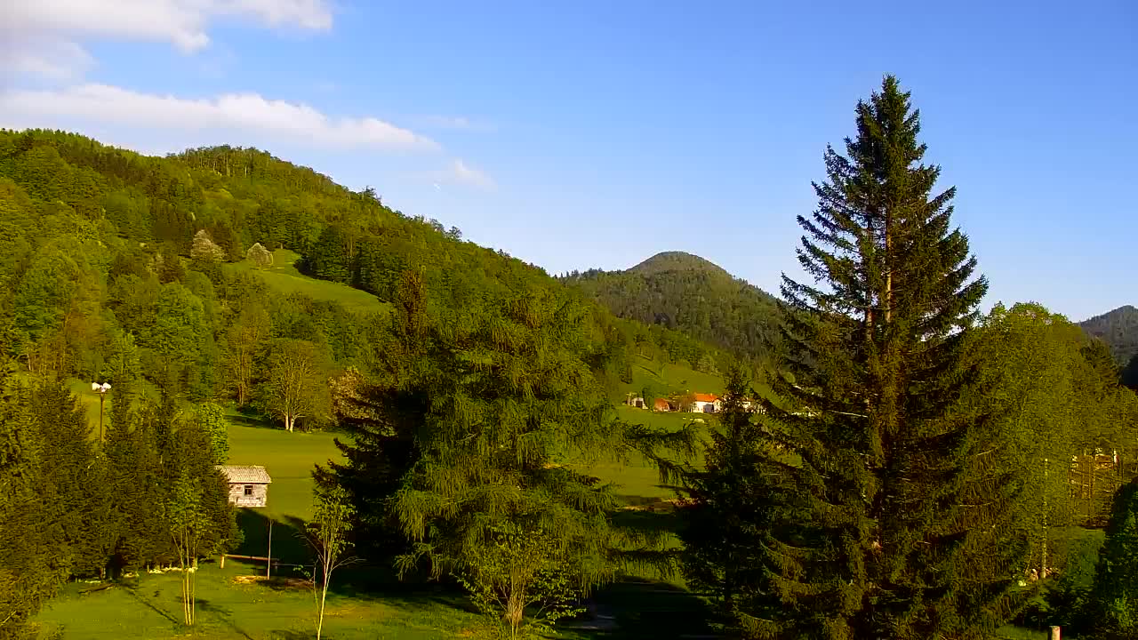 Webcam Loqua / Lokve – La bellezza della selva di Tarnova