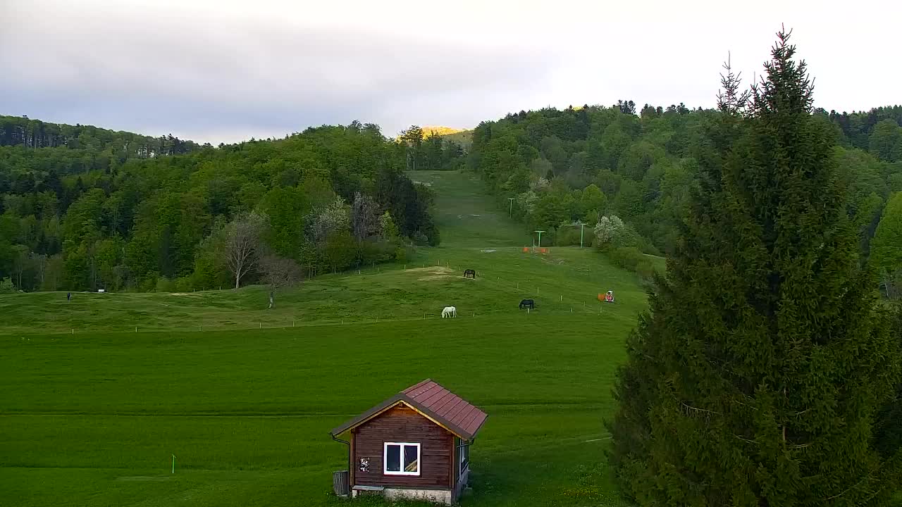 Lokve kamera – Naravne lepote Trnovskega gozda