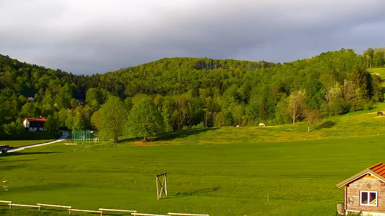 Webcam Lokve – The beauty of the Trnovo forest