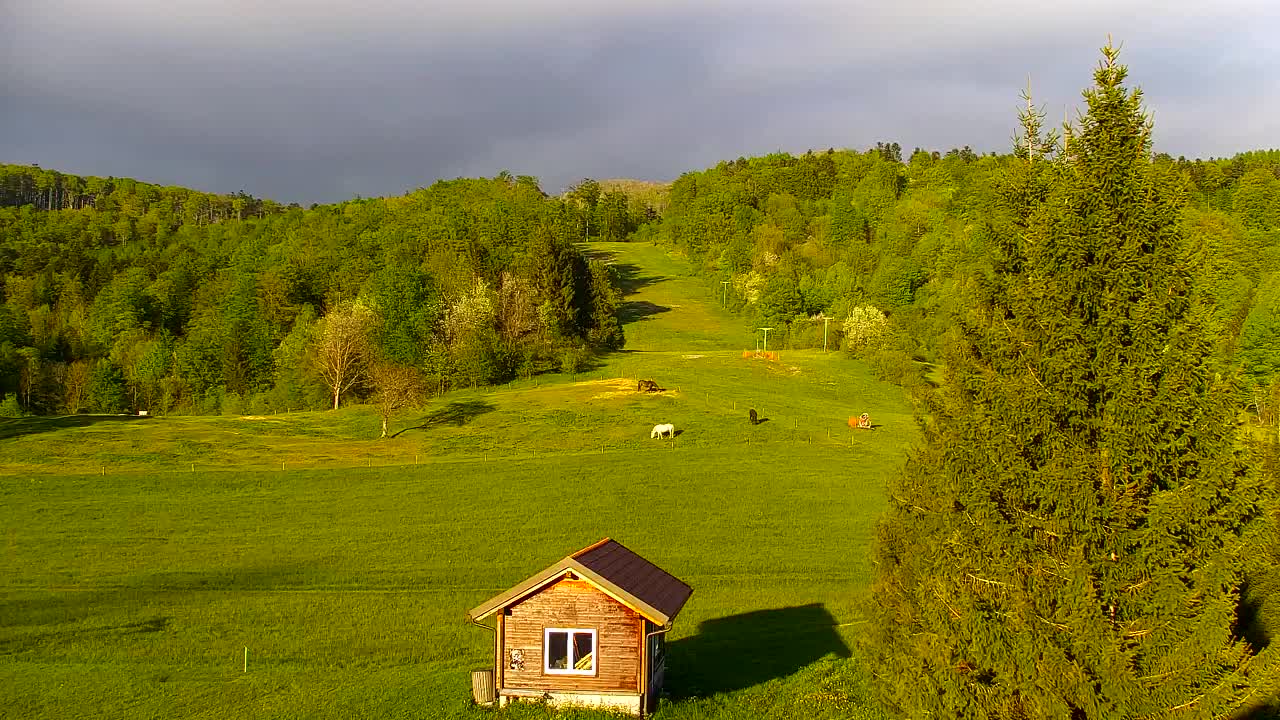 Webcam Lokve – La beauté de la forêt de Trnovo