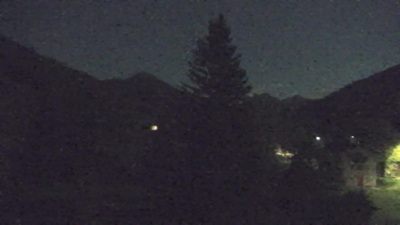 Webcam Loqua / Lokve – La bellezza della selva di Tarnova