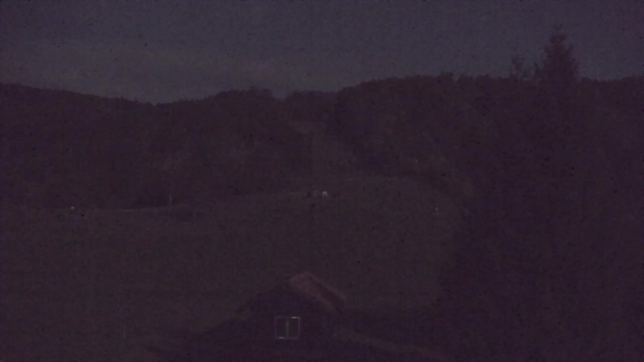Camera en vivo Lokve – La belleza del bosque de Trnovo