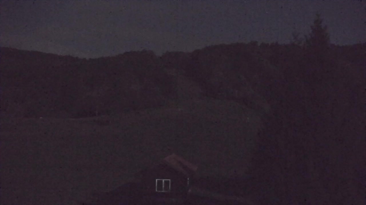 Webcam Lokve – Die Schönheit des Trnovo-Waldes