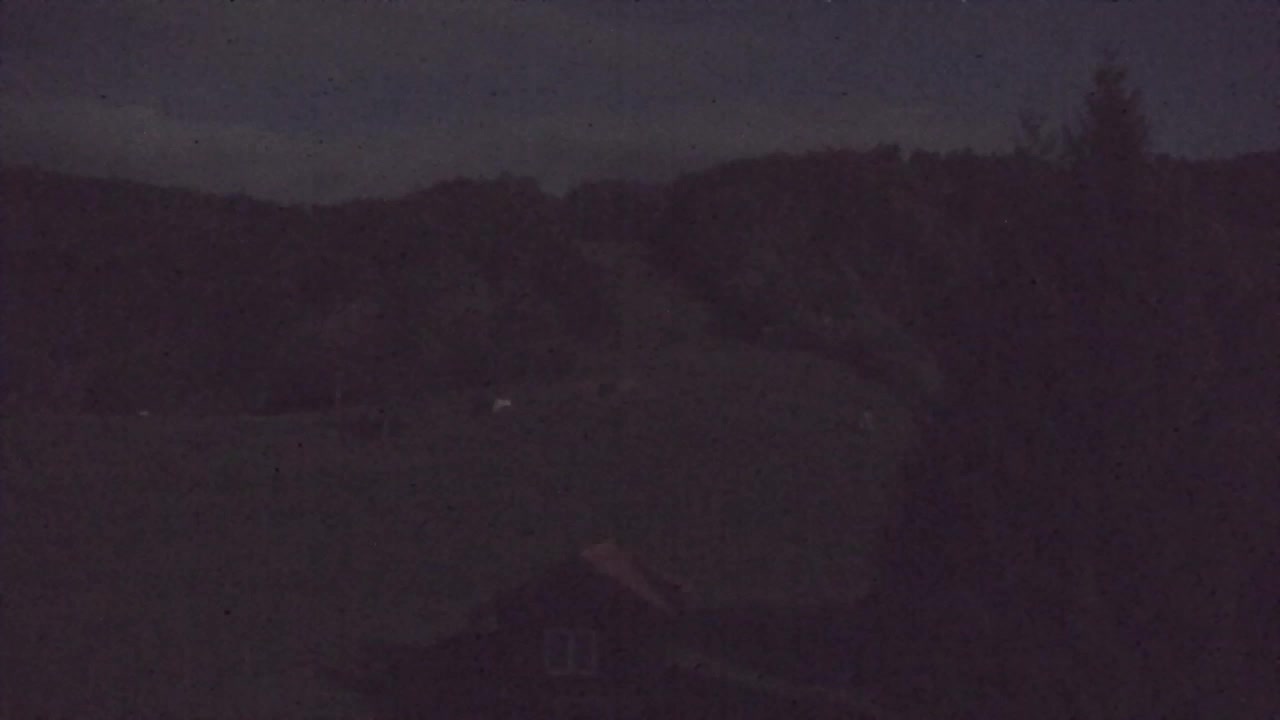 Camera en vivo Lokve – La belleza del bosque de Trnovo