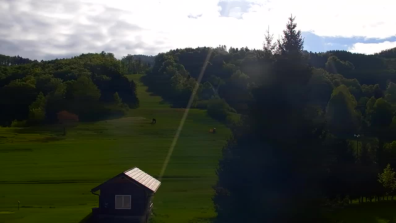 Webcam Lokve – The beauty of the Trnovo forest