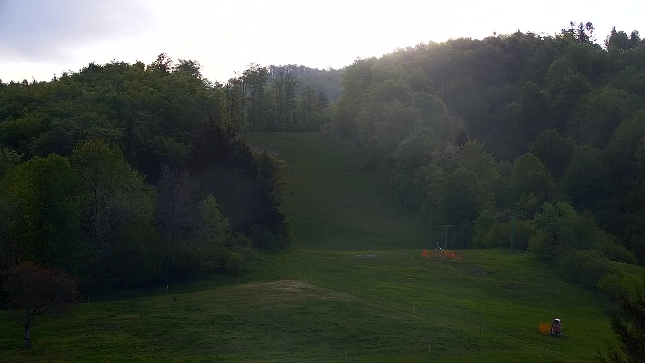 Webcam Lokve – The beauty of the Trnovo forest