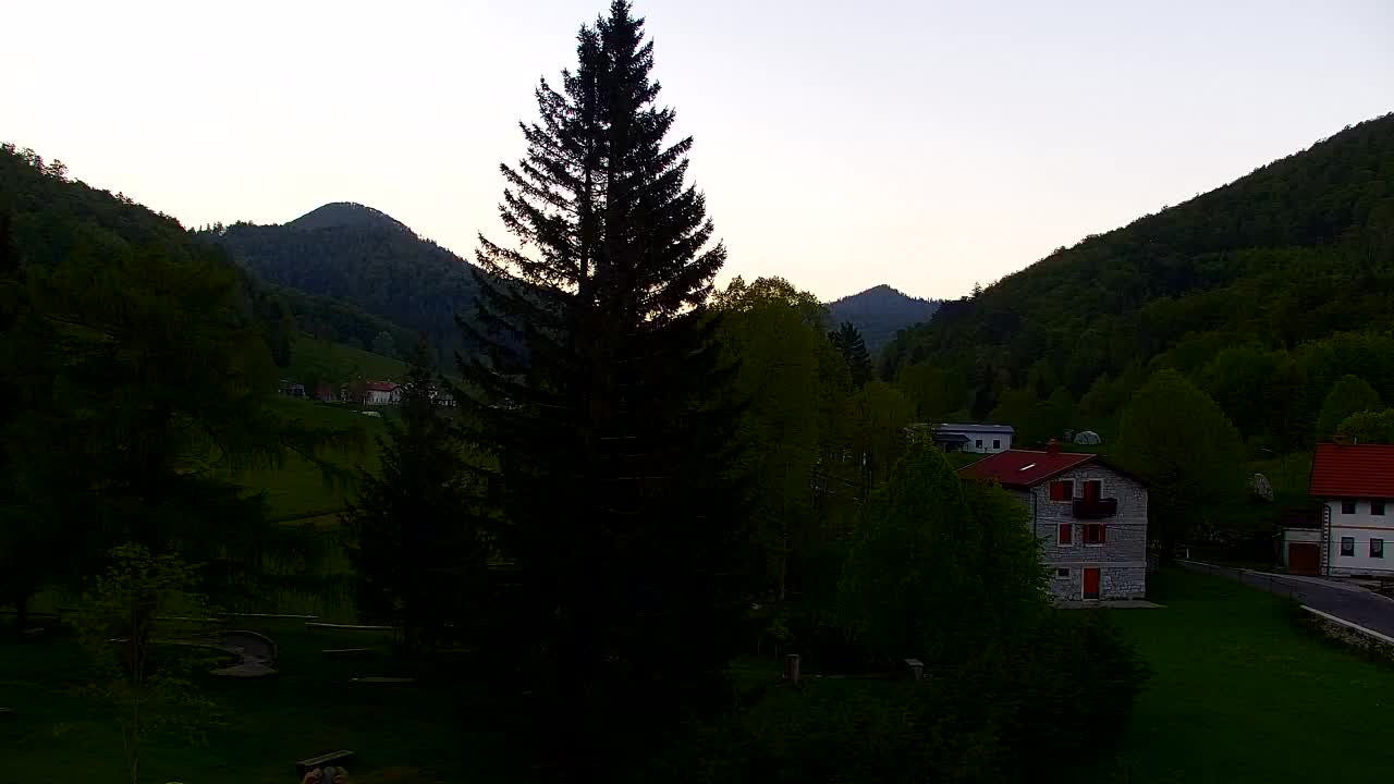 Webcam Loqua / Lokve – La bellezza della selva di Tarnova