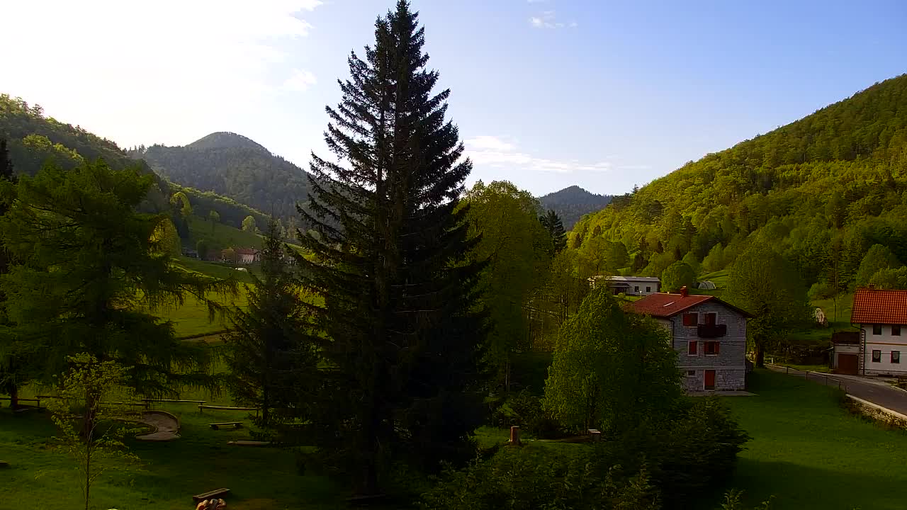 Webcam Lokve – The beauty of the Trnovo forest