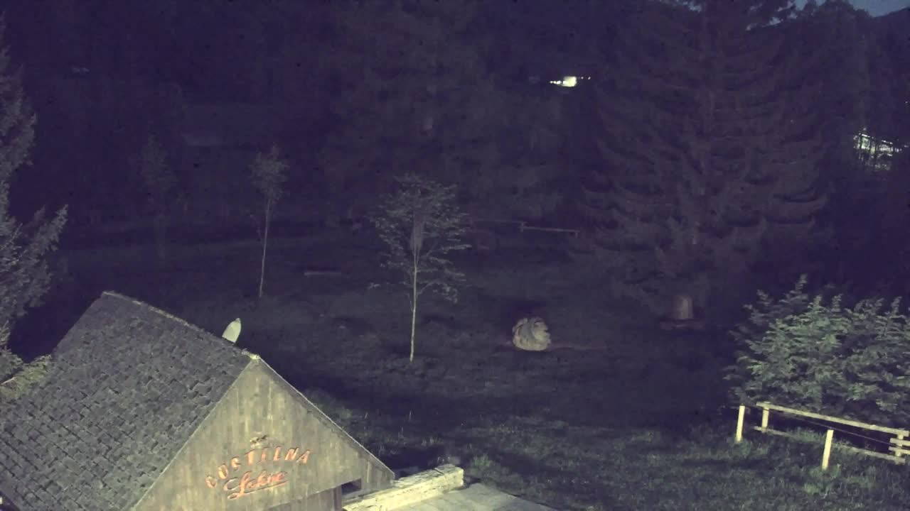 Webcam Loqua / Lokve – La bellezza della selva di Tarnova