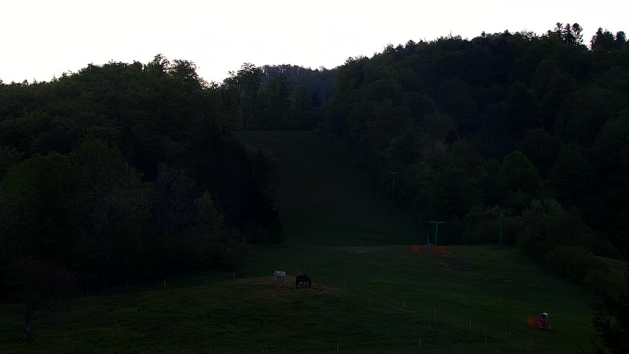 Webcam Lokve – The beauty of the Trnovo forest