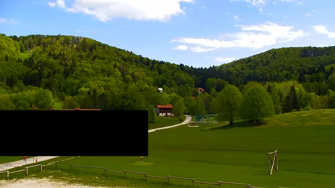 Webcam Lokve – La beauté de la forêt de Trnovo