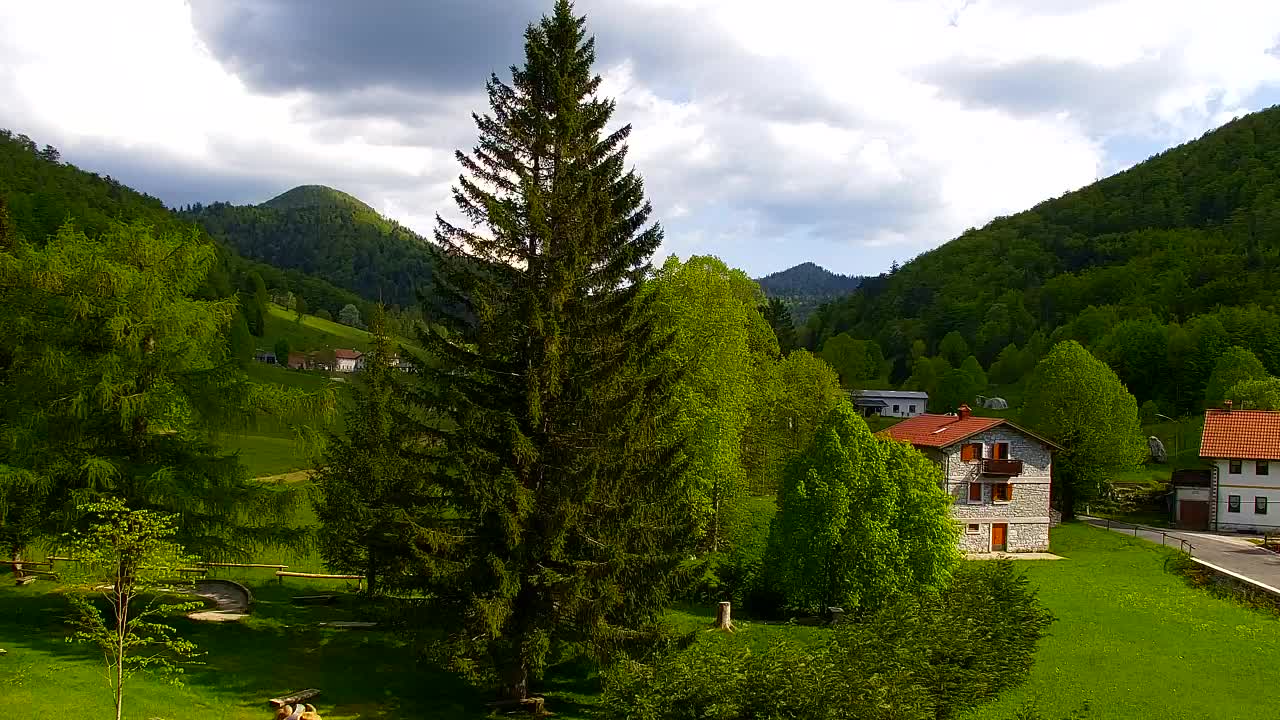 Camera en vivo Lokve – La belleza del bosque de Trnovo