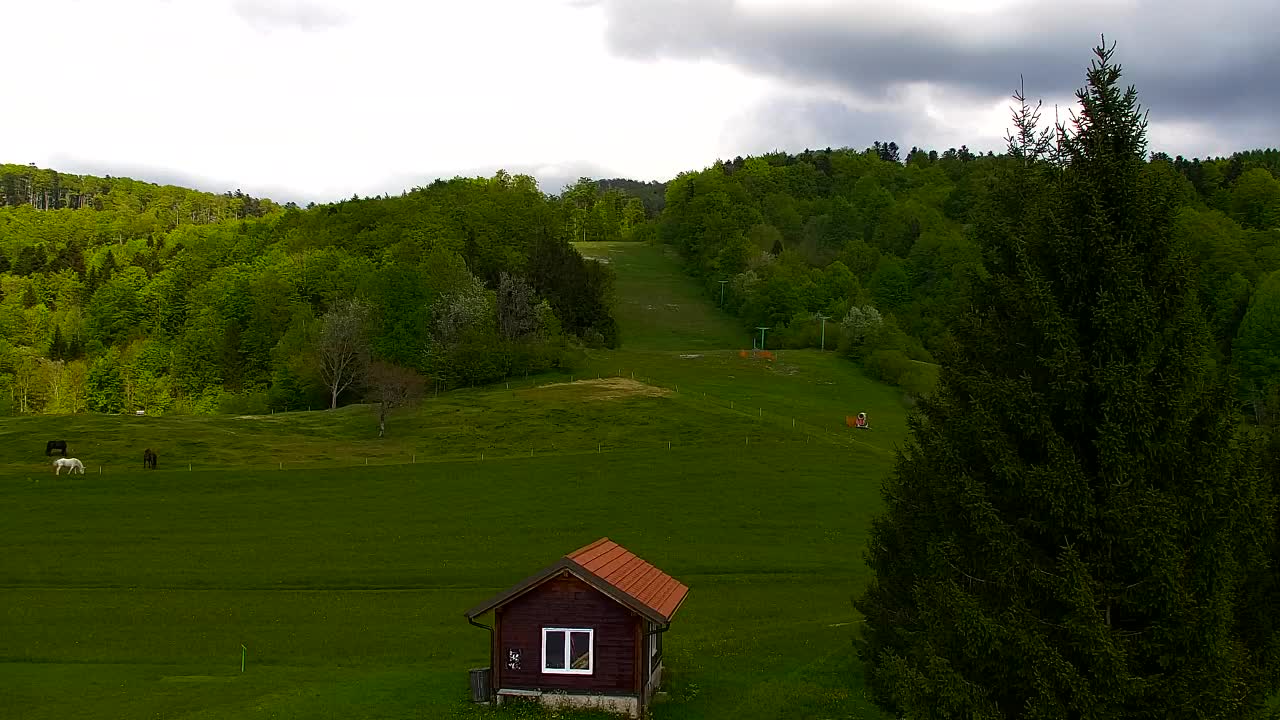 Webcam Lokve – La beauté de la forêt de Trnovo