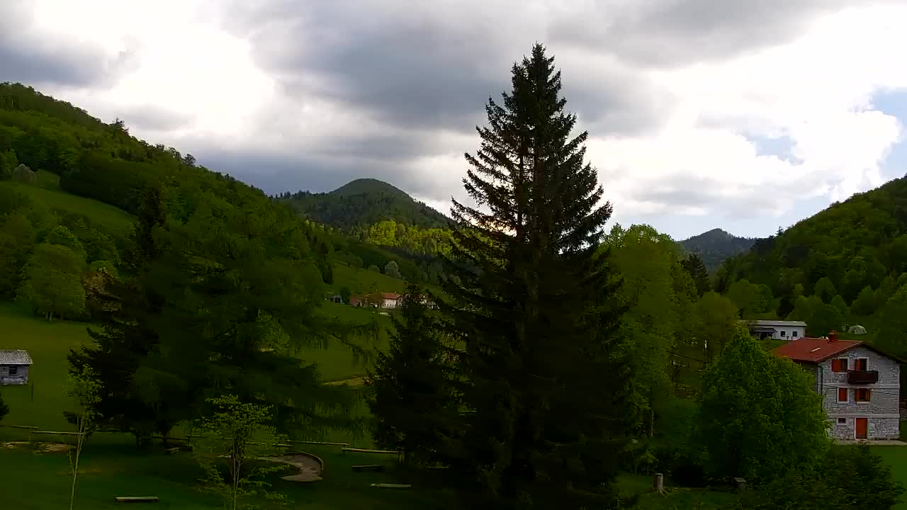 Webcam Loqua / Lokve – La bellezza della selva di Tarnova