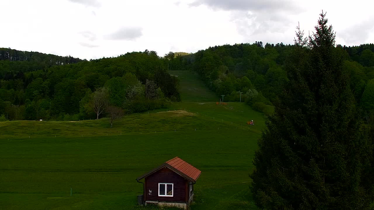 Webcam Loqua / Lokve – La bellezza della selva di Tarnova