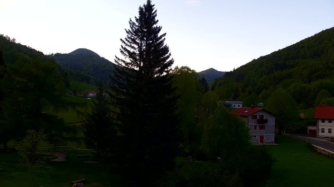 Webcam Loqua / Lokve – La bellezza della selva di Tarnova