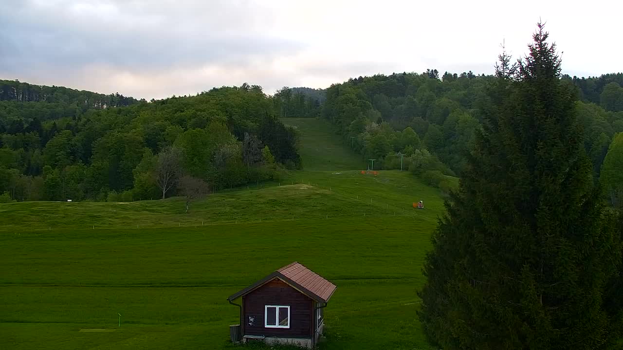 Webcam Lokve – Die Schönheit des Trnovo-Waldes