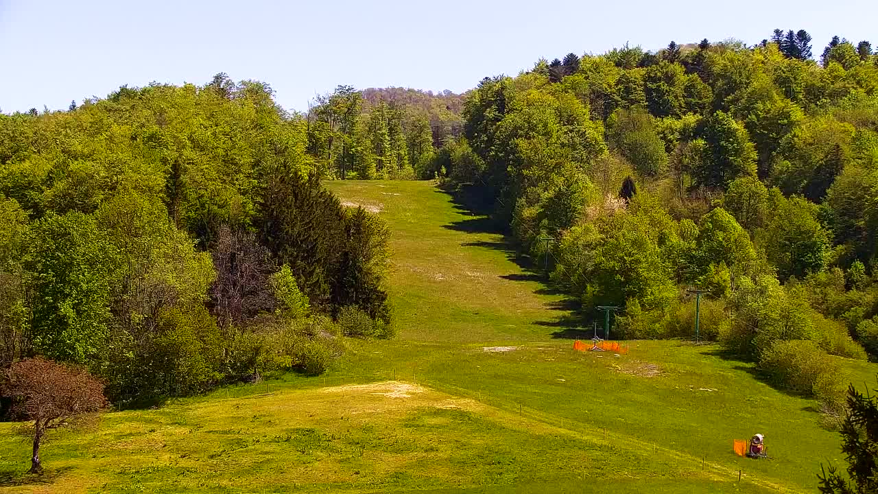 Webcam Lokve – The beauty of the Trnovo forest