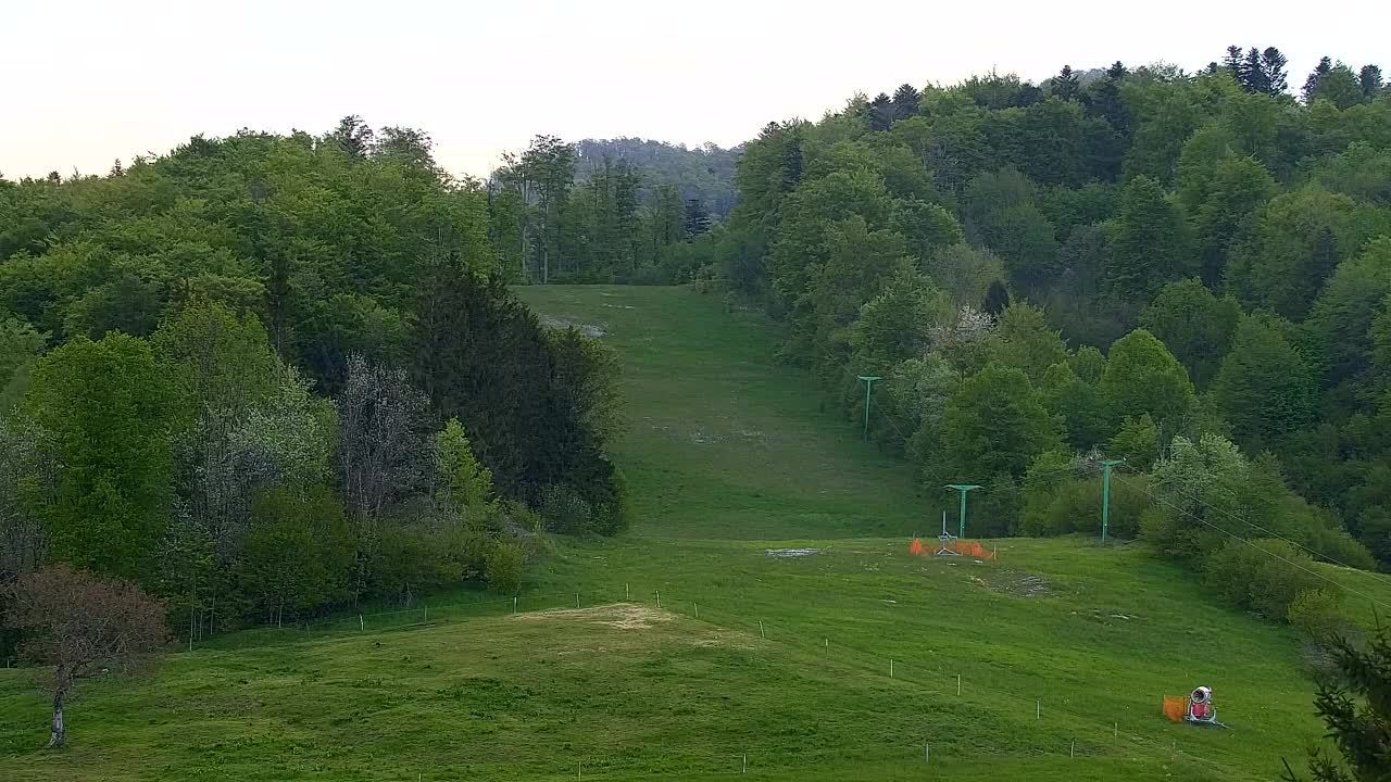 Webcam Loqua / Lokve – La bellezza della selva di Tarnova
