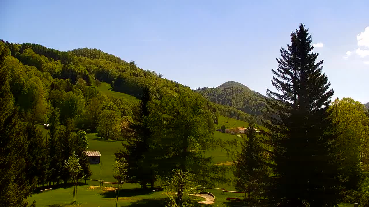 Webcam Loqua / Lokve – La bellezza della selva di Tarnova