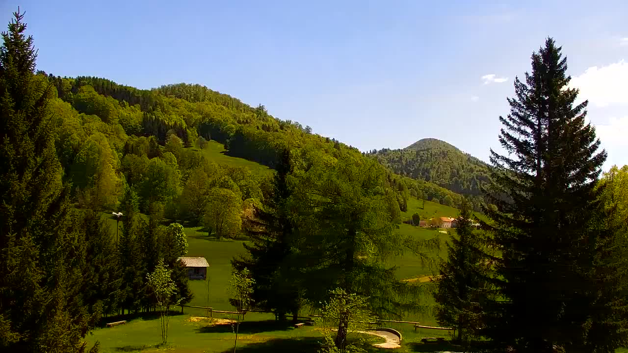 Webcam Loqua / Lokve – La bellezza della selva di Tarnova