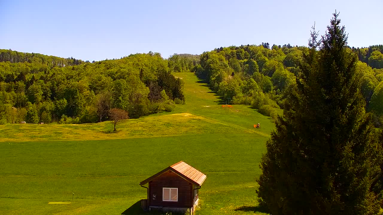Webcam Lokve – The beauty of the Trnovo forest