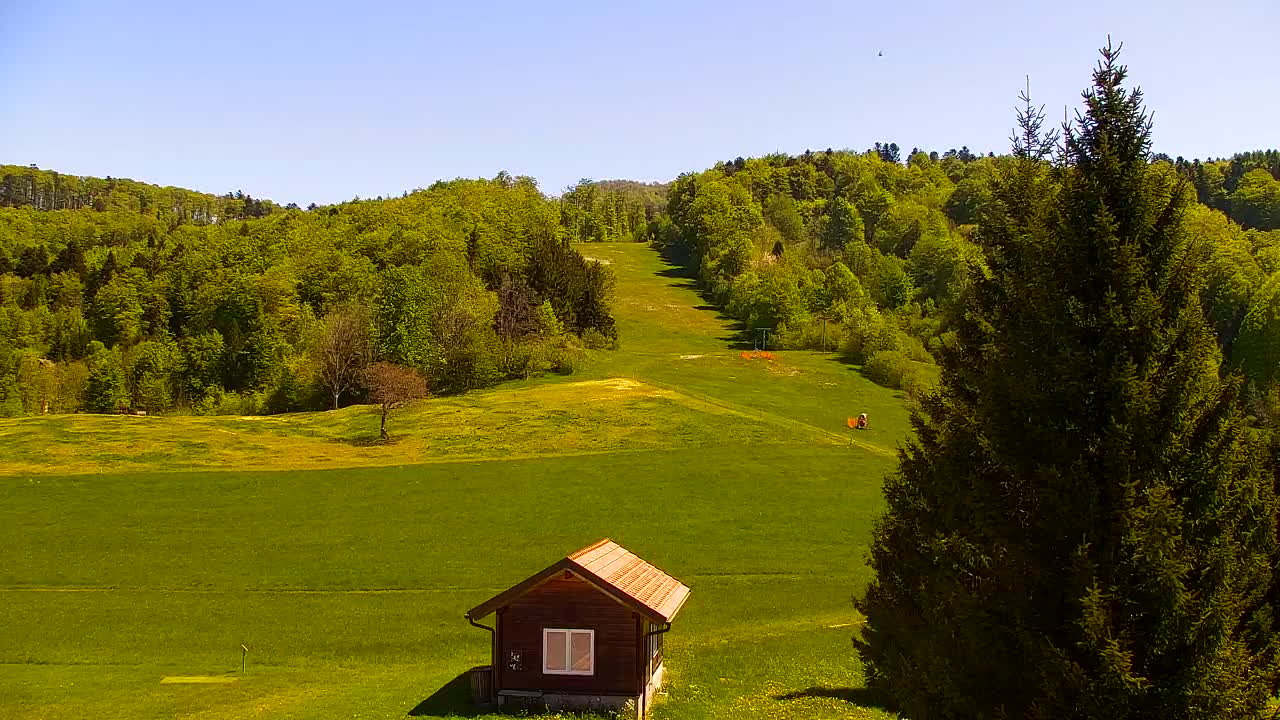 Webcam Lokve – The beauty of the Trnovo forest