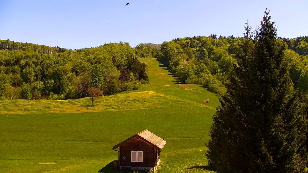 Webcam Loqua / Lokve – La bellezza della selva di Tarnova