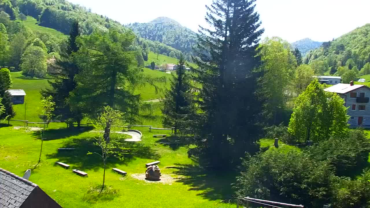Webcam Loqua / Lokve – La bellezza della selva di Tarnova