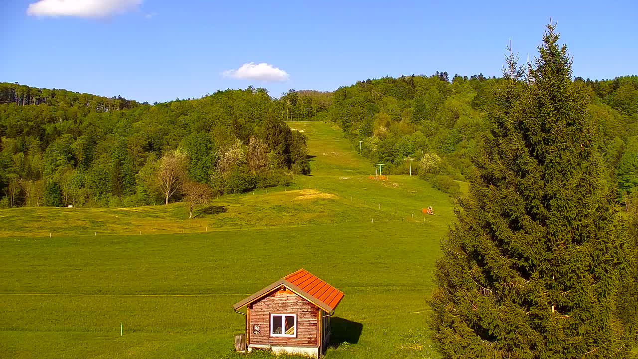 Webcam Lokve – The beauty of the Trnovo forest
