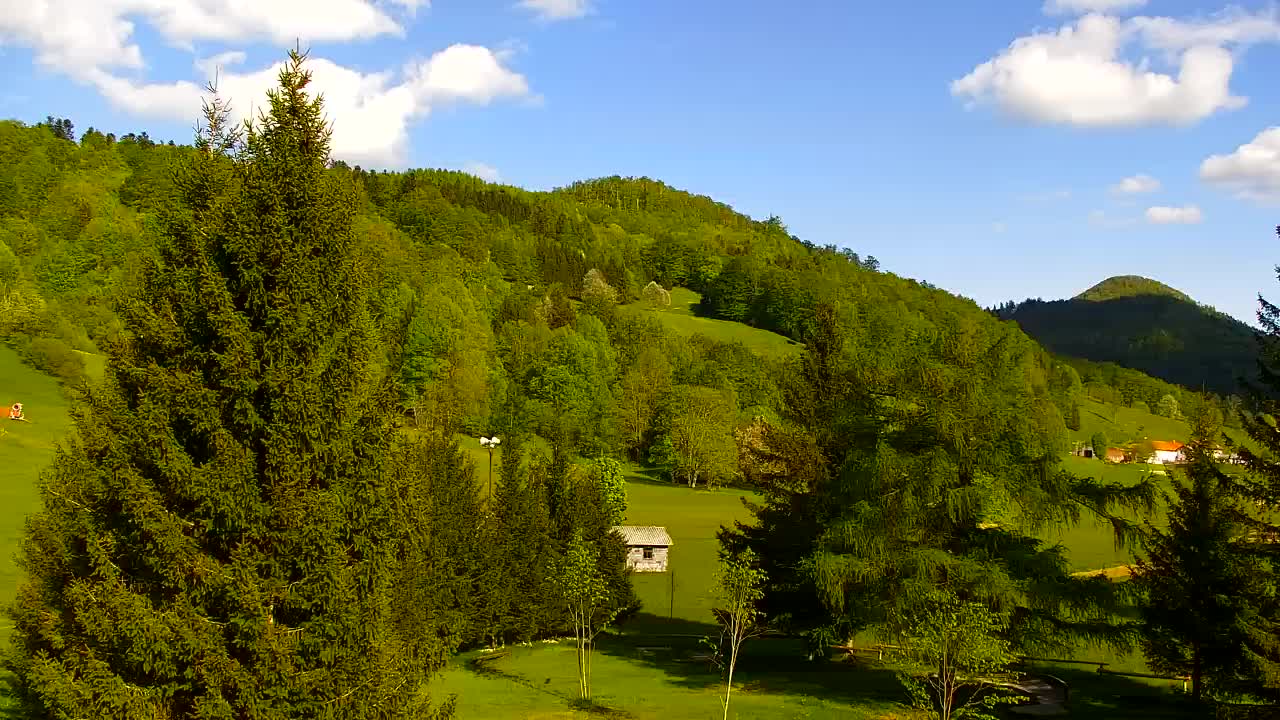 Webcam Loqua / Lokve – La bellezza della selva di Tarnova