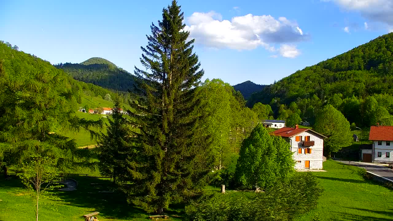 Webcam Lokve – The beauty of the Trnovo forest